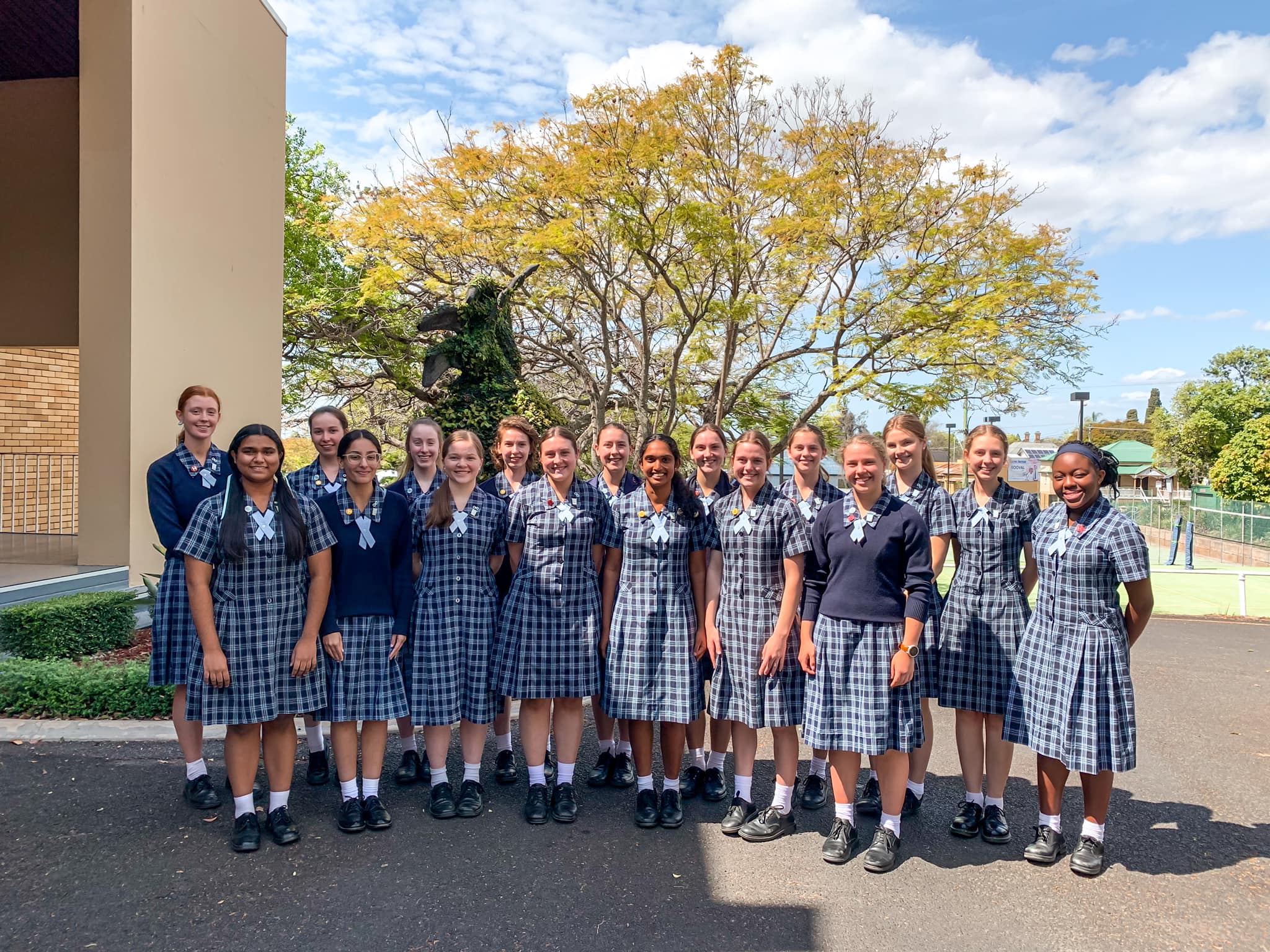 School media preview